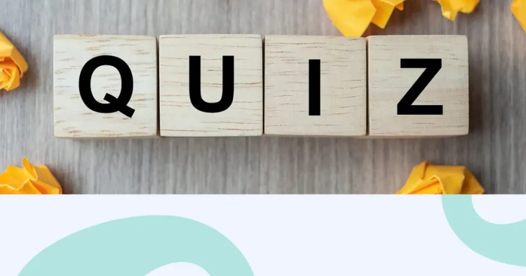 Zeit Online Quiz